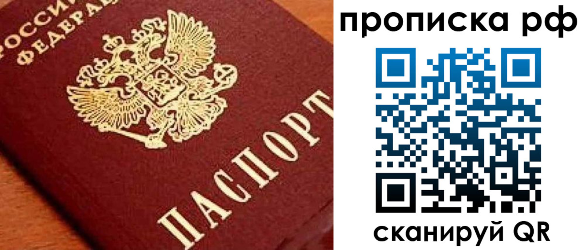 прописка законно в Сальске